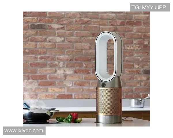 戴森篮球明星的传奇之路与科技创新的完美结合